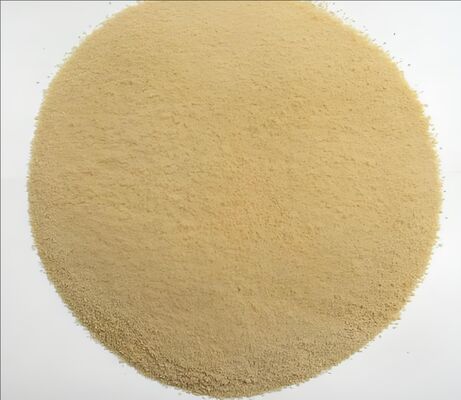 DISP 2006 Copolymer with Pigment Affinity Groups Polymer Powder Dispersant